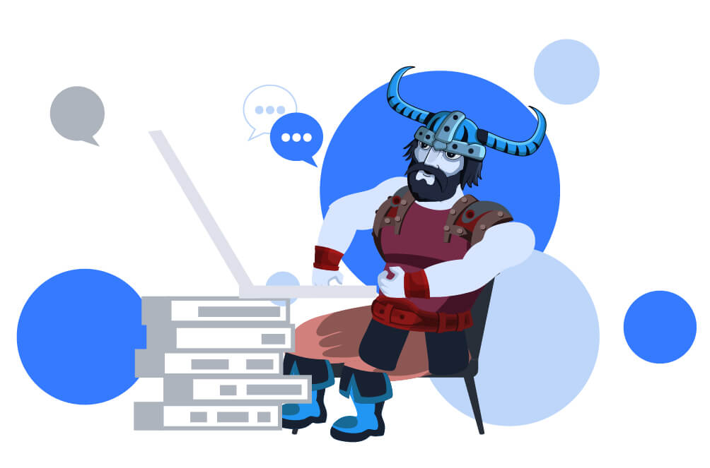 Viking with a laptop